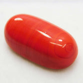 10.30 Ct Natural Italian Red Coral CERTIFIED Loose Gemstone Cabochon Cut.
